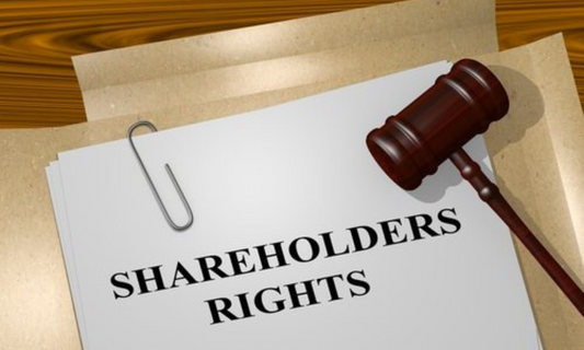 Shareholder Agreements